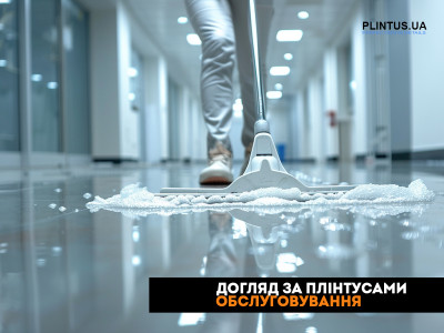 Уход за плинтусами